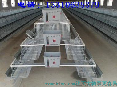 蛋鸡笼，肉鸡笼，自动化鸡笼，全自动养鸡设备