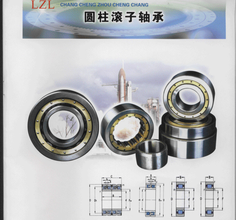 圆柱轴承单列